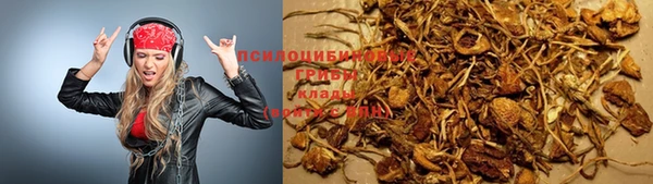 кокс Алзамай